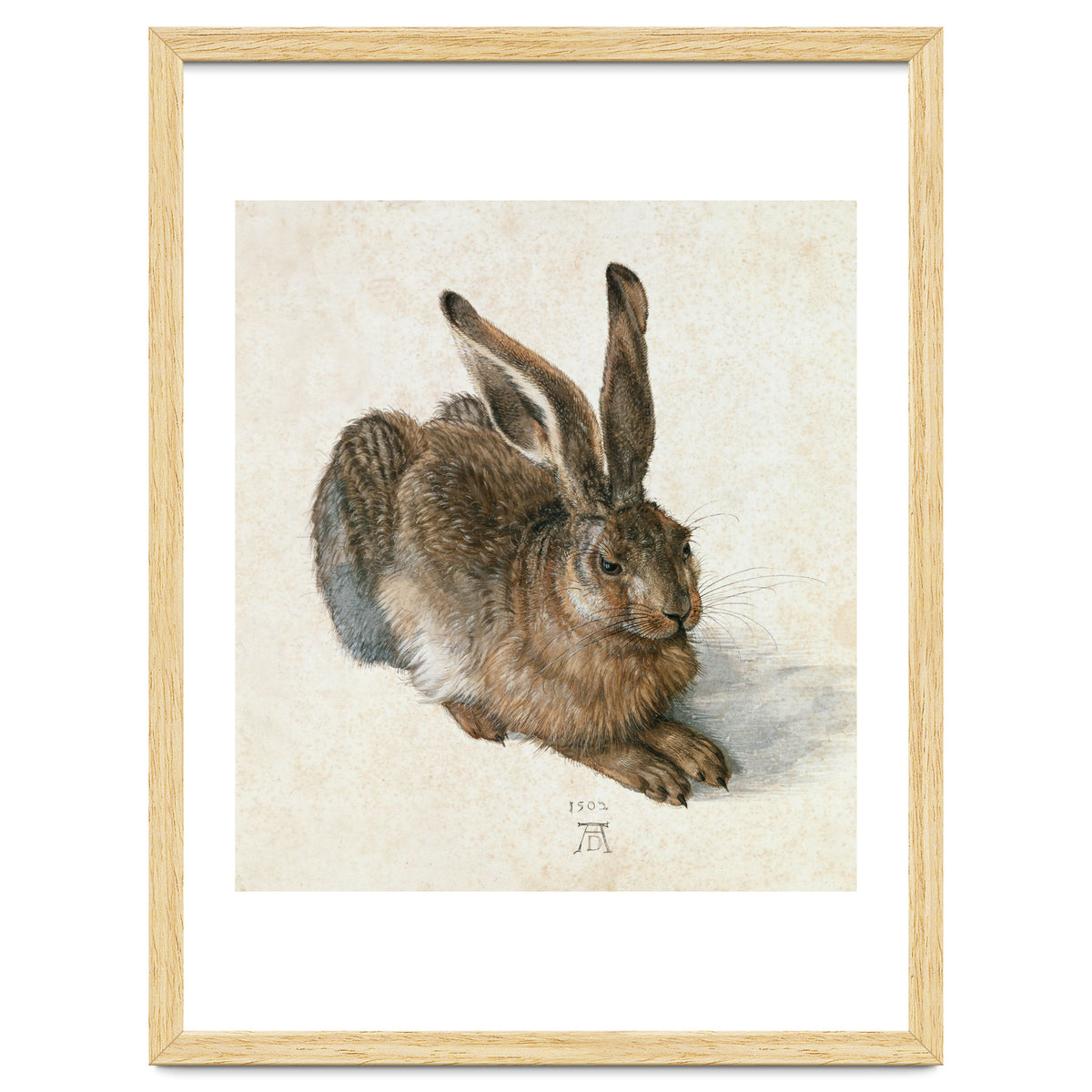 Hare-Hase. Watercolour.