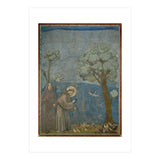 Saint Francis of Assisi preaching to the birds. Giotto. GIOTTO DE BONDONE (1266-1337). (Print Only) thumbnail