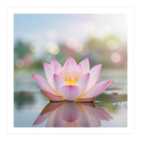 Ethereal Lotus Bloom: Serene Botanical Reflection (Print Only)