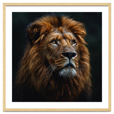 Majestic Lion Portrait In Gentle Rain thumbnail