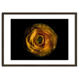 Backyard Flowers No 72 Color Version thumbnail