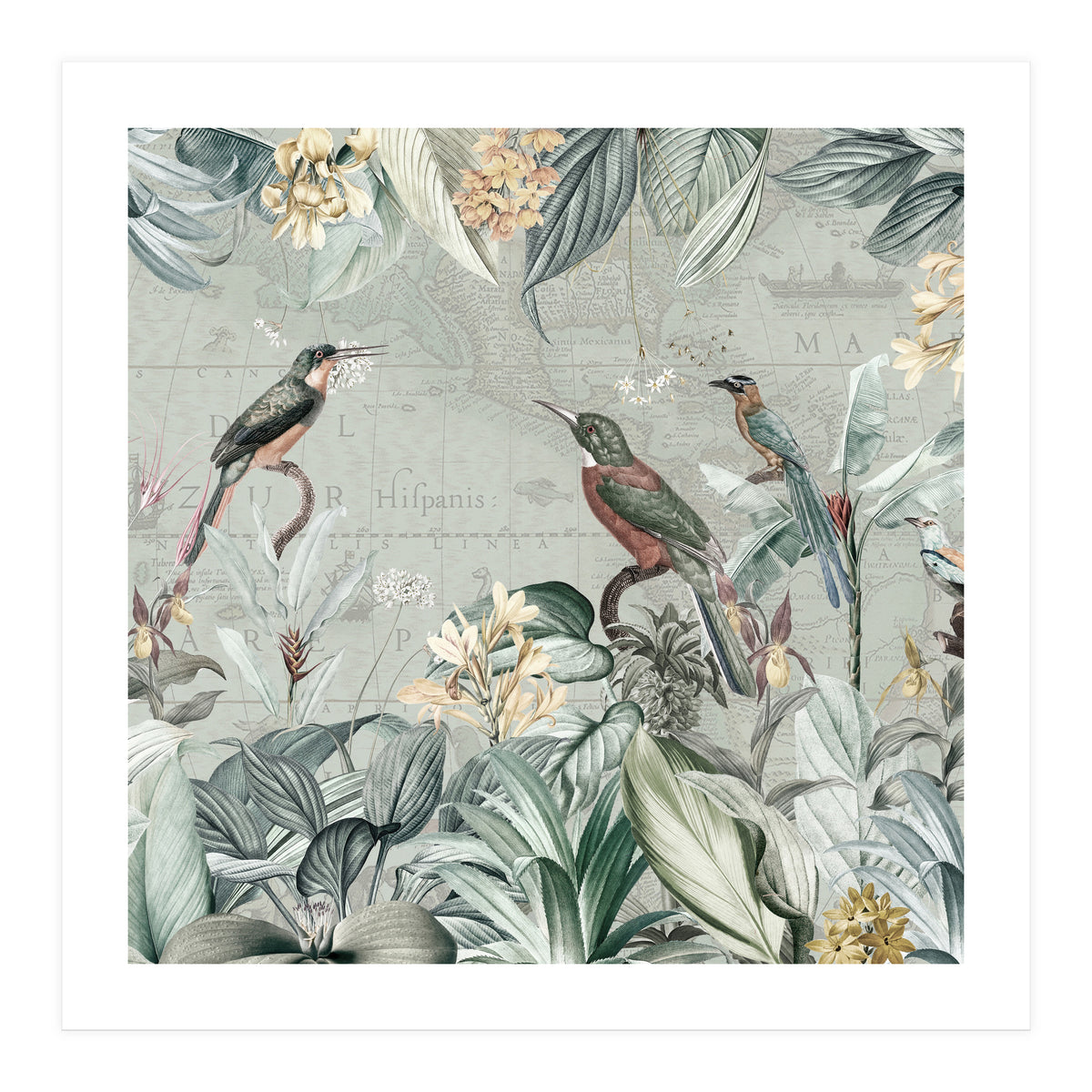 Vintage Exotic Birds Paradise Jungle (Print Only)