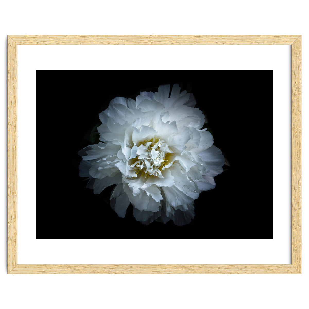 Backyard Flowers No 90 Color Version