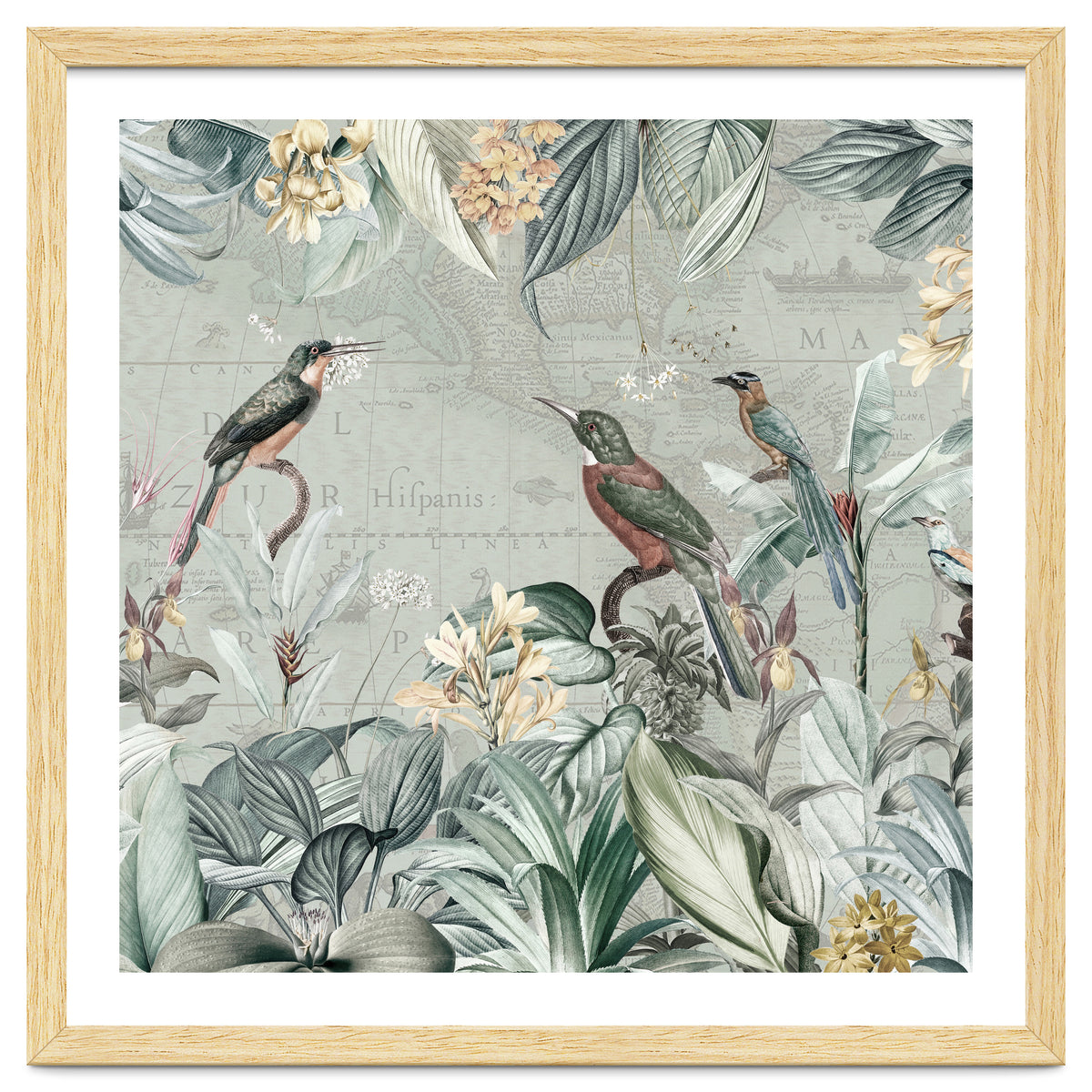 Vintage Exotic Birds Paradise Jungle