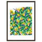 Summer Strelitzia thumbnail