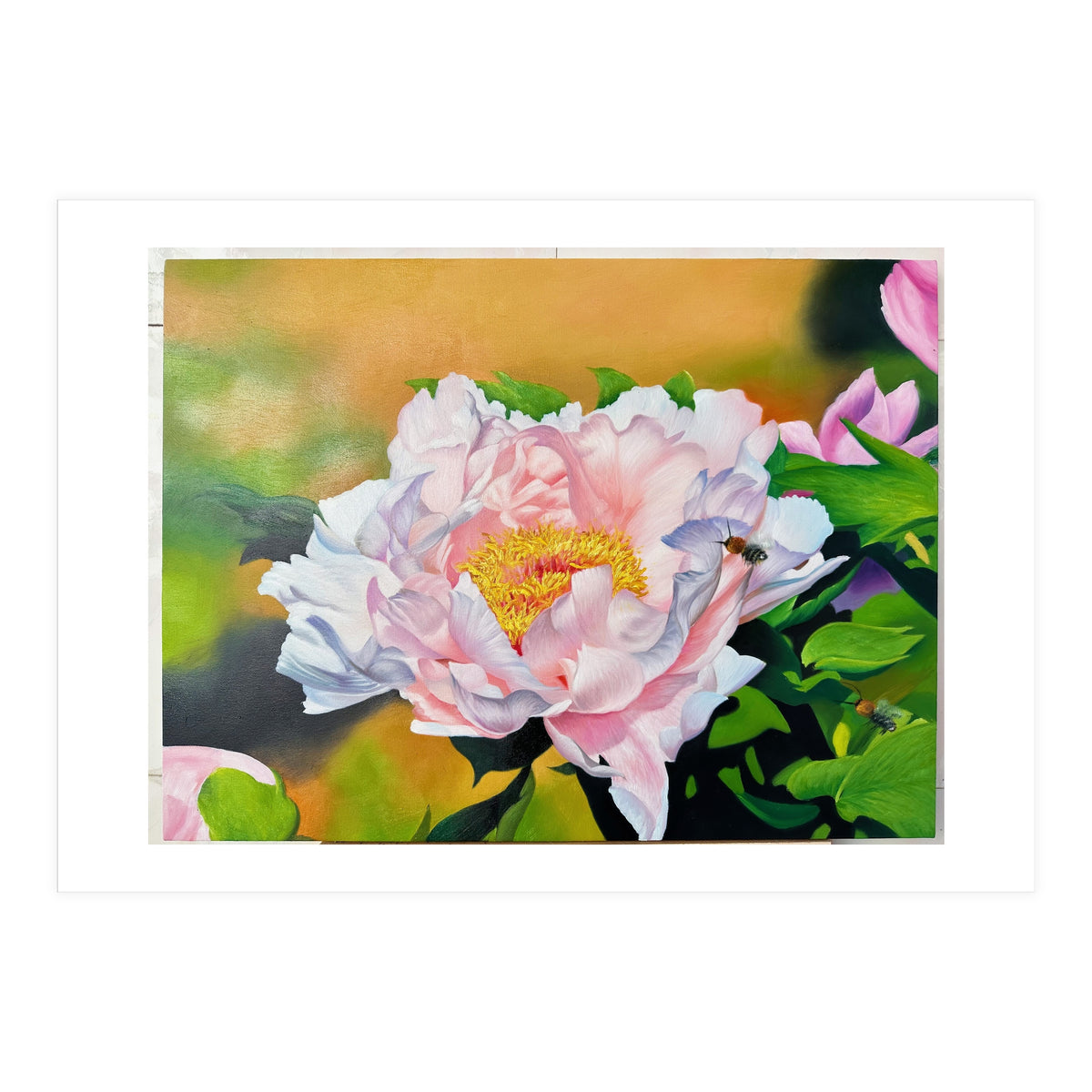 peony (Print Only)