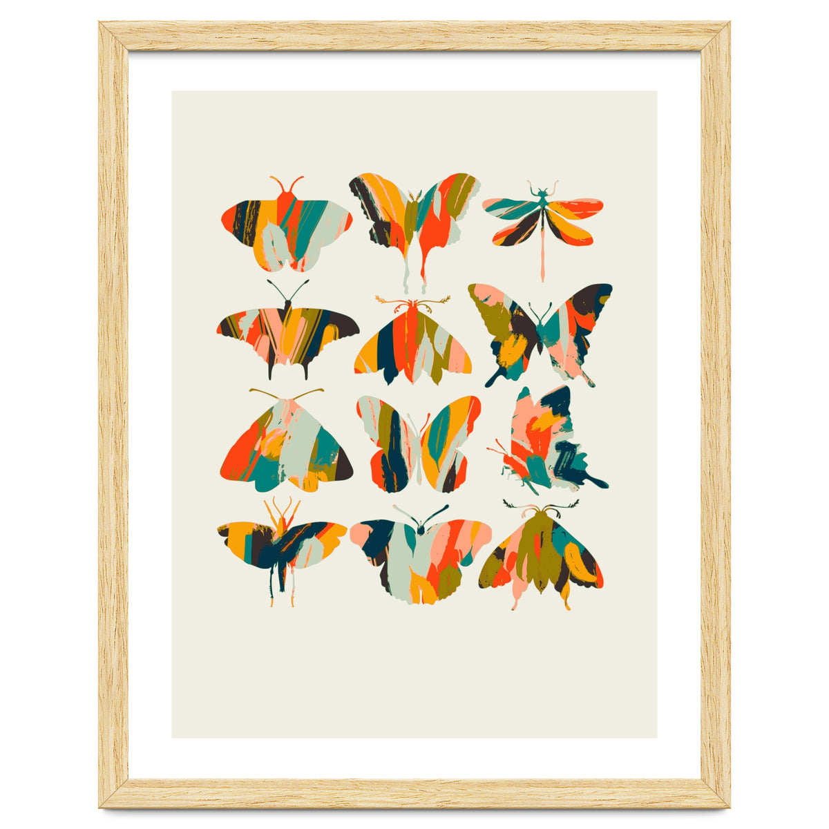 Colorful Butterflies