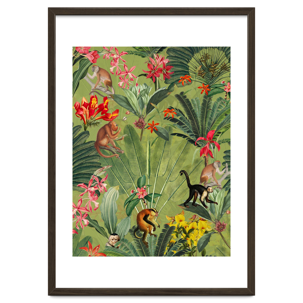 Monkeys In Tropical Jungle Paradise