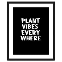 Plant vibes everywhere