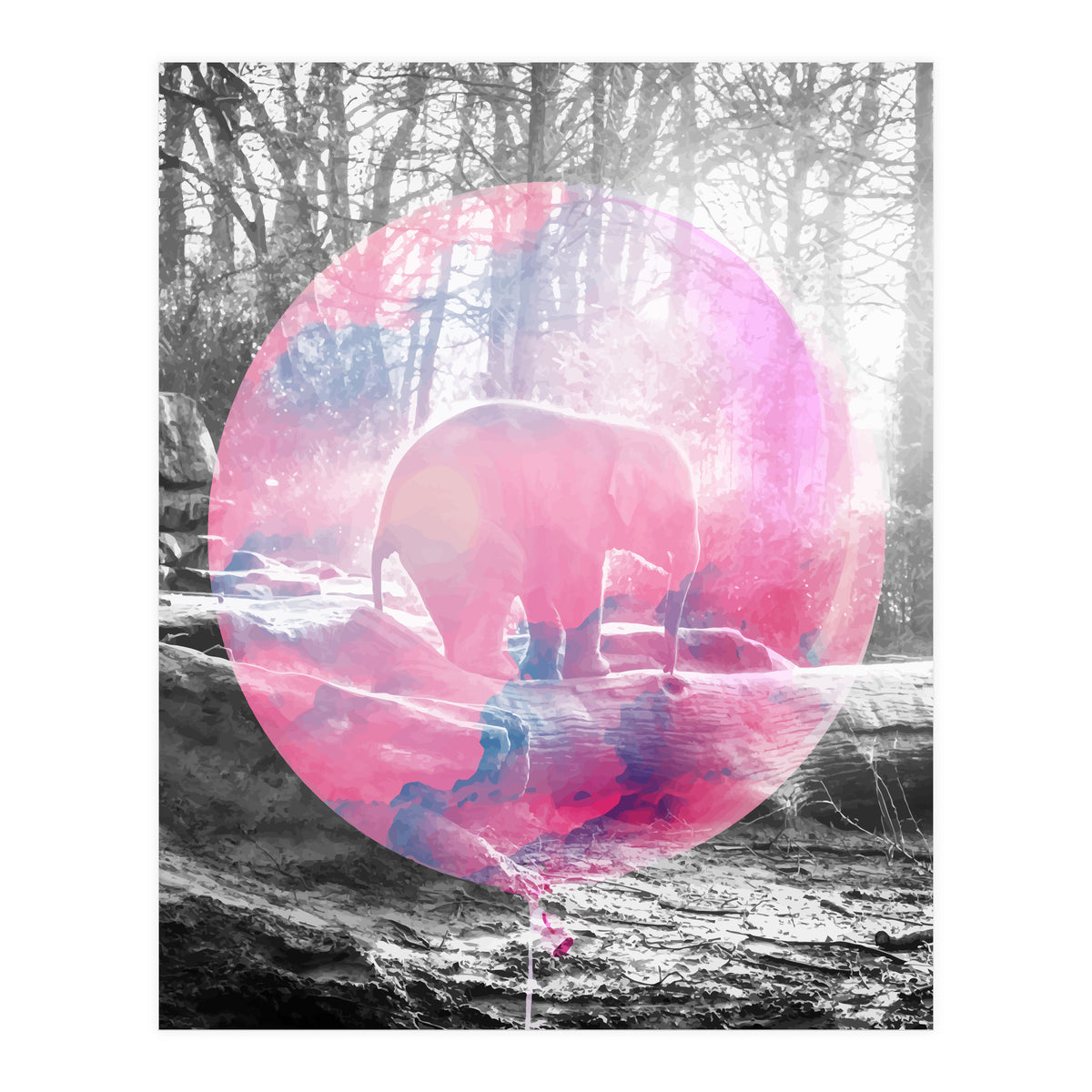 Baby Elephant In A Balloon (Print Only)