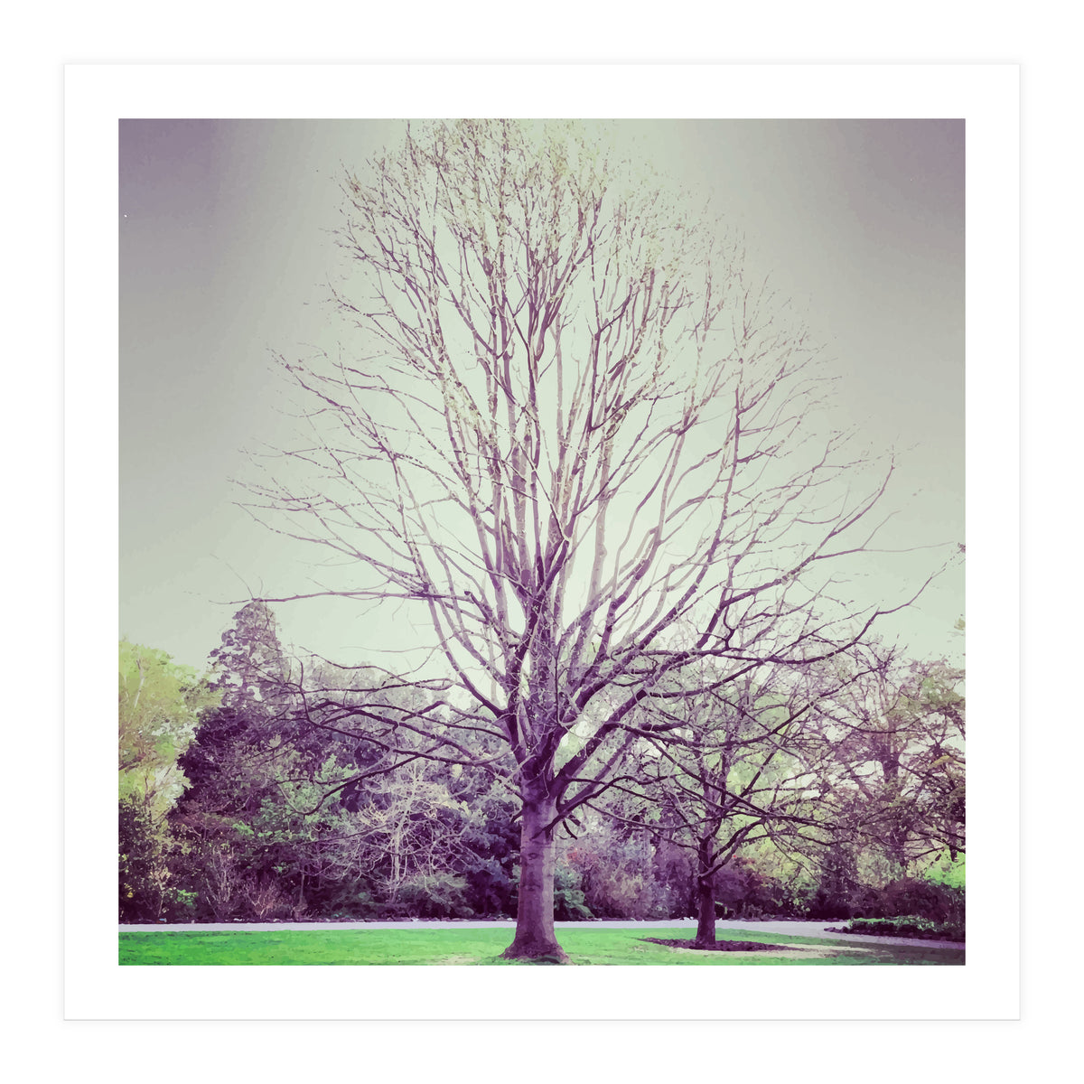 Tree Of Dreams (Print Only)