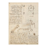 Folio f 172v. Codex Madrid I (Ms. 8937) 