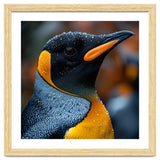 King Penguin With Water Droplets In Rain thumbnail