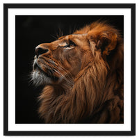 Majestic Lion Portrait Profile Majestic Beast