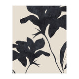 Shadowed Blooms (Print Only) thumbnail