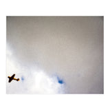 The Little Prince (Print Only) thumbnail