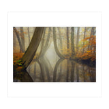 Bent trees in autumn (Print Only) thumbnail