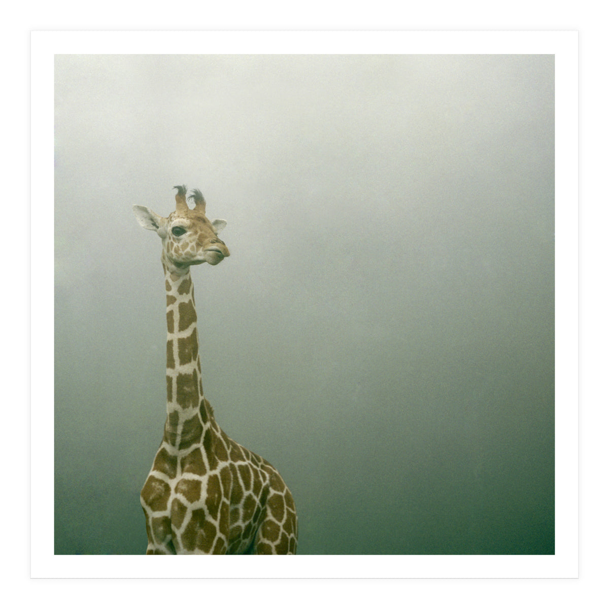 Silence of breath - 08 (Print Only)