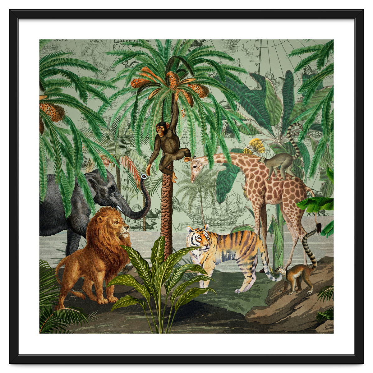 Vintage African Adventure