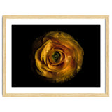 Backyard Flowers No 72 Color Version thumbnail