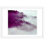Forest Fog thumbnail