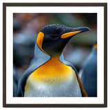 King Penguin With Water Droplets On Its Head thumbnail