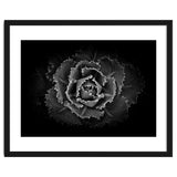 Backyard Flowers In Black And White No 101 thumbnail