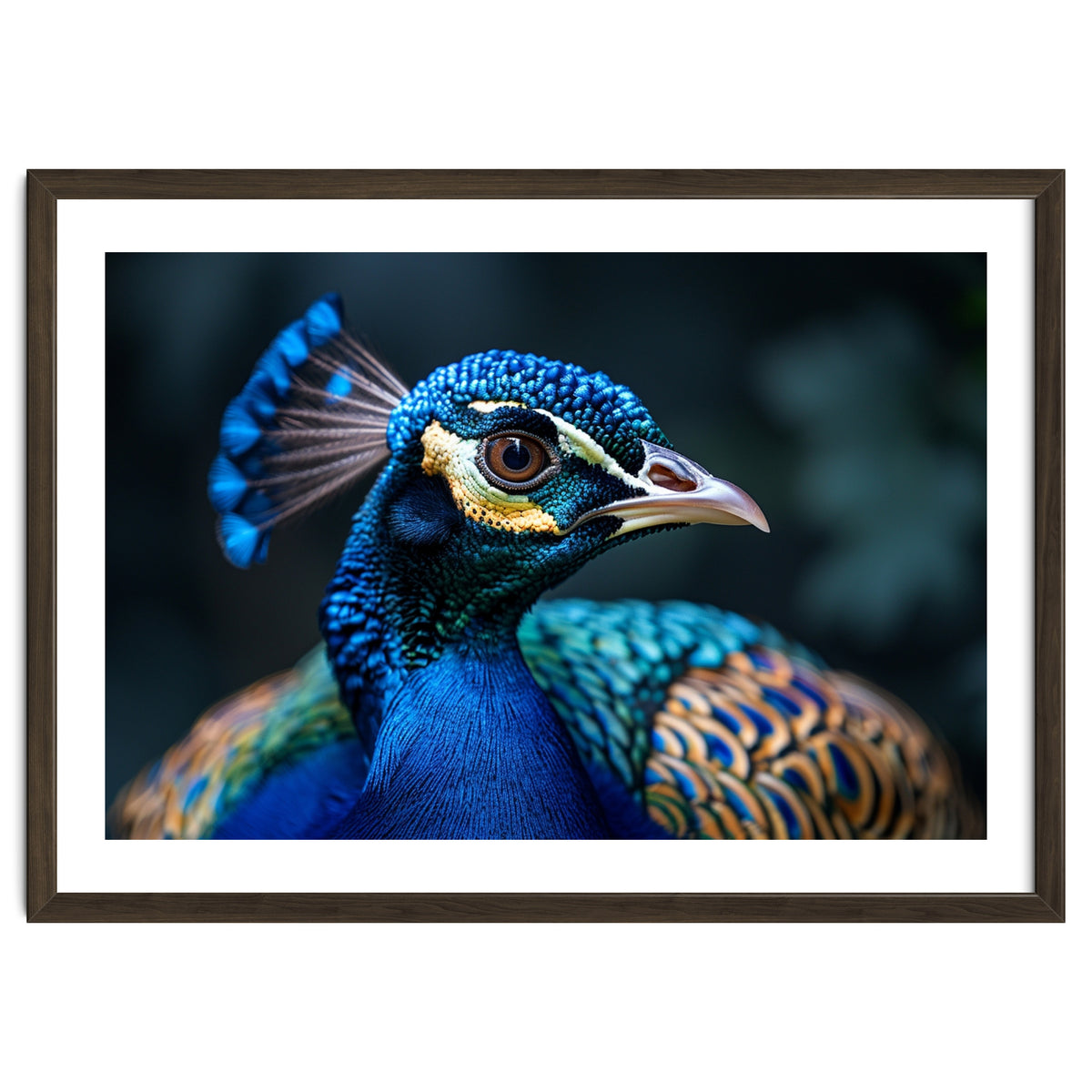 Peacock Head Close Up Majestic Blue Bird