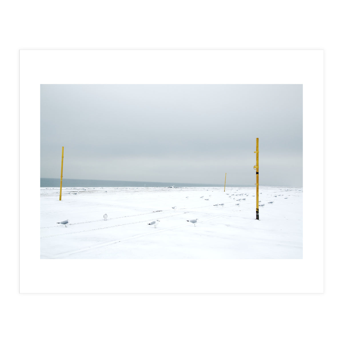 Seagulls in between the volleyball poles in winter snow beach (Print Only)