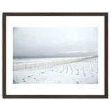 Winter grass in snow beach thumbnail