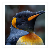 King Penguin Standing In Rain With Water Drops Nature Photography (Print Only) thumbnail