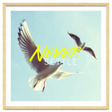 Never Settle thumbnail