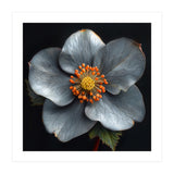 Hellebore | Silver Magic (Print Only) thumbnail