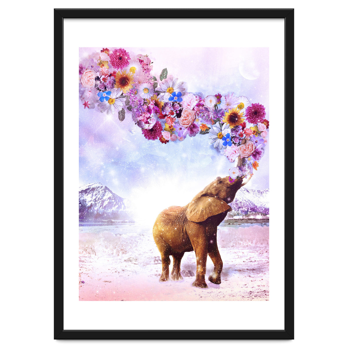 Daria - Supreme Majestic