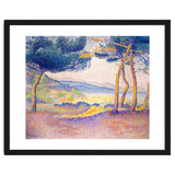 Pines Along the Shore. thumbnail