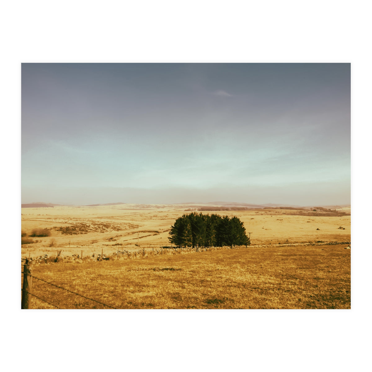 Dartmoor 2018 (Print Only)