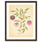 Vintage Fruits thumbnail