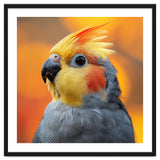 Cockatiel Parrot Close Up thumbnail