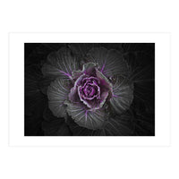 Backyard Flowers No 108 Color Version (Print Only)