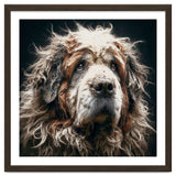 Old Dog 01 thumbnail