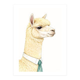 Alpaca  (Print Only) thumbnail