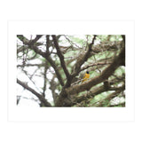 Mini sun (Print Only) thumbnail