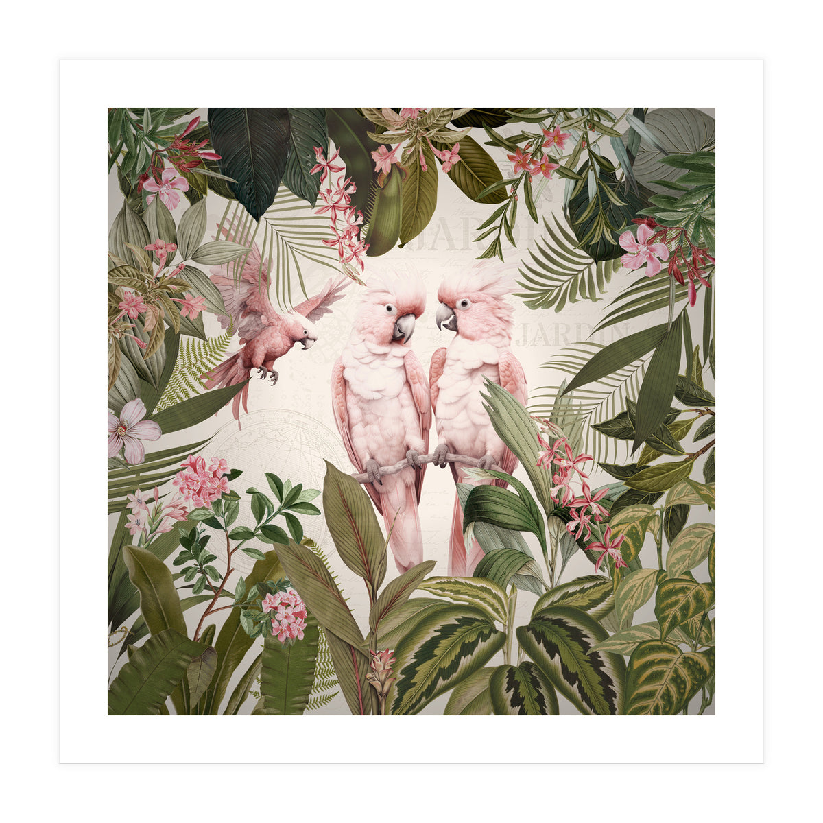 Pink Parrots Exotic Rainforest (Print Only)