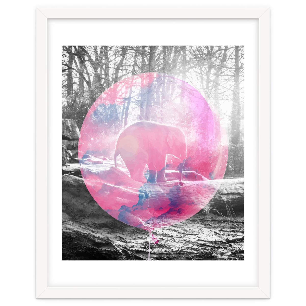 Baby Elephant In A Balloon
