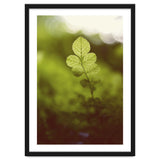 Out of the green thumbnail