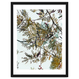 Patterns In Nature thumbnail