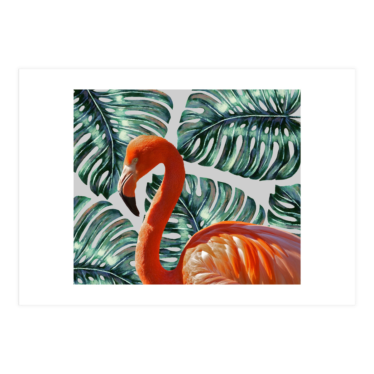 Flamingo Self Portrait (Print Only)