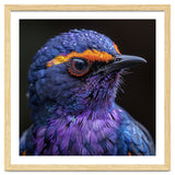 Close Up Portrait Of A Vibrant Exotic Bird thumbnail