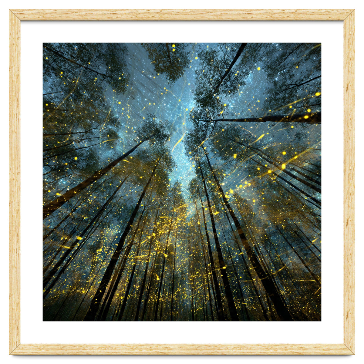 Enchanted Night Forest with Glowing Fireflies