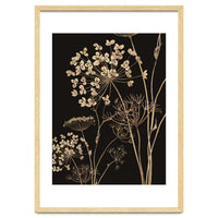 Wildflowers I